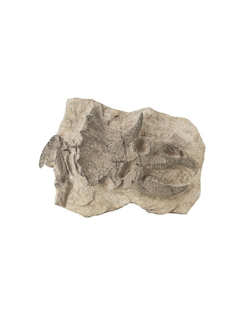 Escultura 1