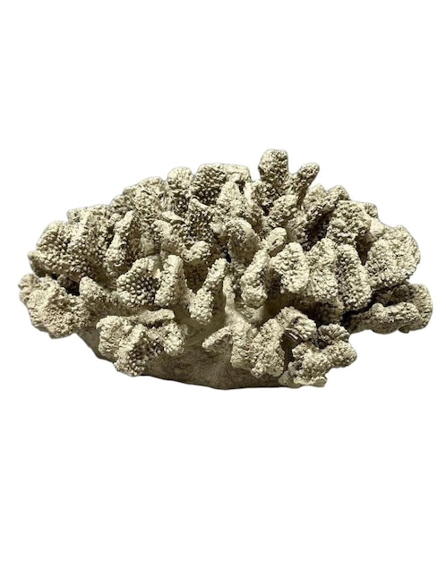 Figura de coral Haus