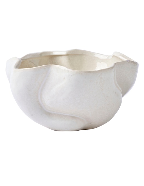 Bowl Oasis Tropical de cerámica 1