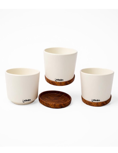 IDEEN Set maceta Ideen de arcilla