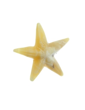 Figura Decorativa Estrella De Mar ONIX Playa