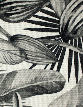 Cojín Plantas B/N Corner Home