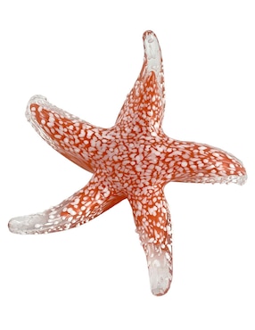 Estrella De Mar Decorativa Haus Náutica De Vidrio