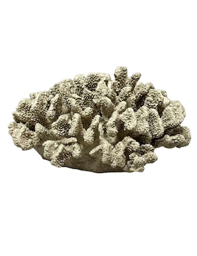 Figura de coral Haus
