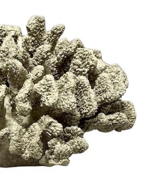 Figura de coral Haus