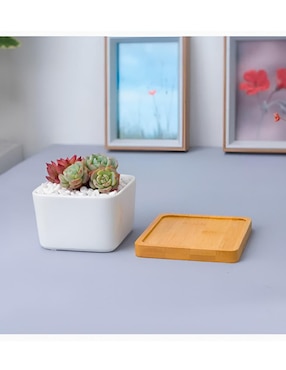 Maceta con base Xtellar de cerámica