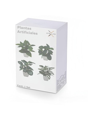 Set maceta Xtellar de plástico