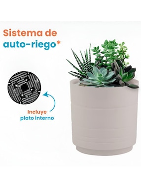 Set maceta Xtellar de plástico con sistema automático de riego