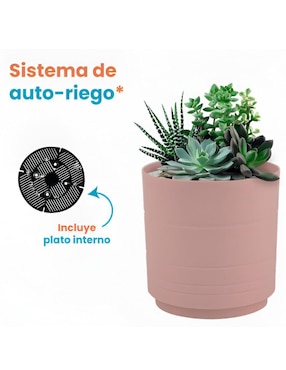 Set maceta Xtellar de plástico con sistema automático de riego
