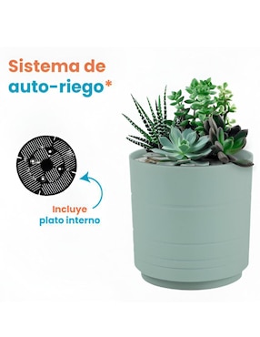 Set maceta Xtellar de plástico con sistema automático de riego