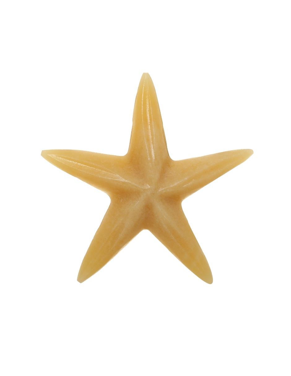 Figura de estrella de mar Playa Figura de estrella de mar Playa