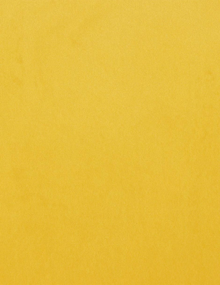 Cojín decorativo Jasper 9