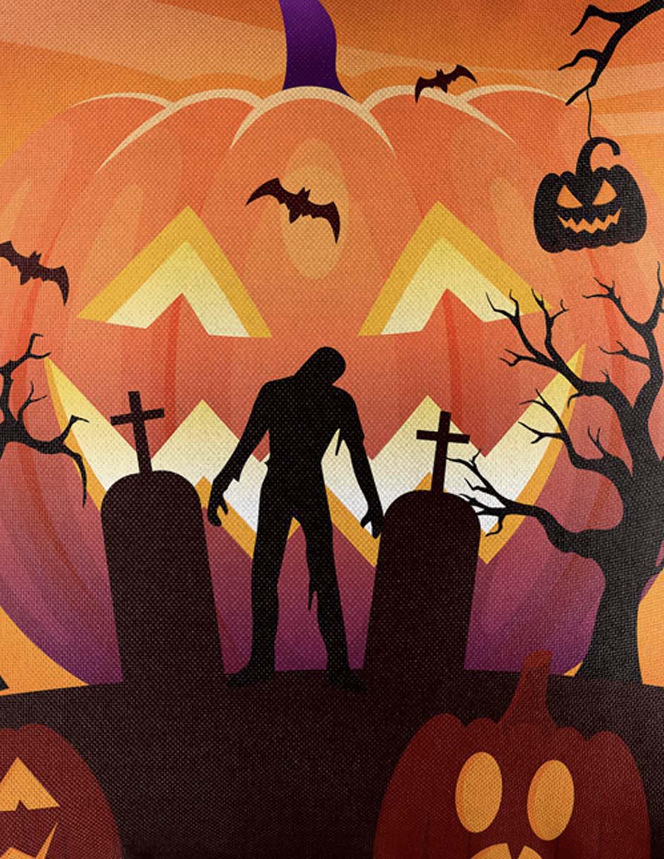 Set de cojínes decorativos Halloween 8