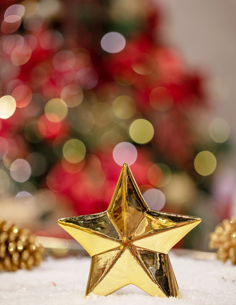 Accesorio decorativo estrella xmas