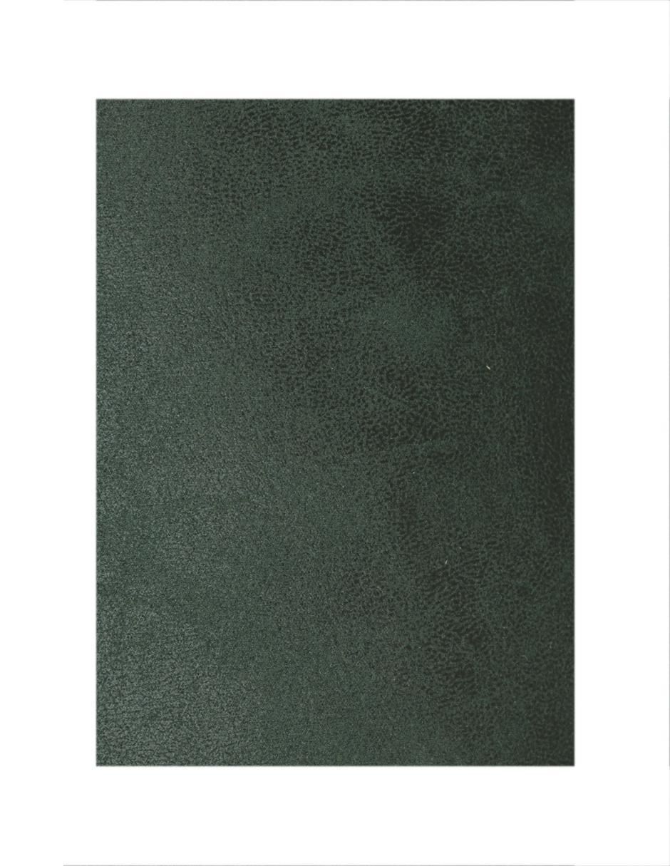Set de cojín decorativo Napa Olive 4
