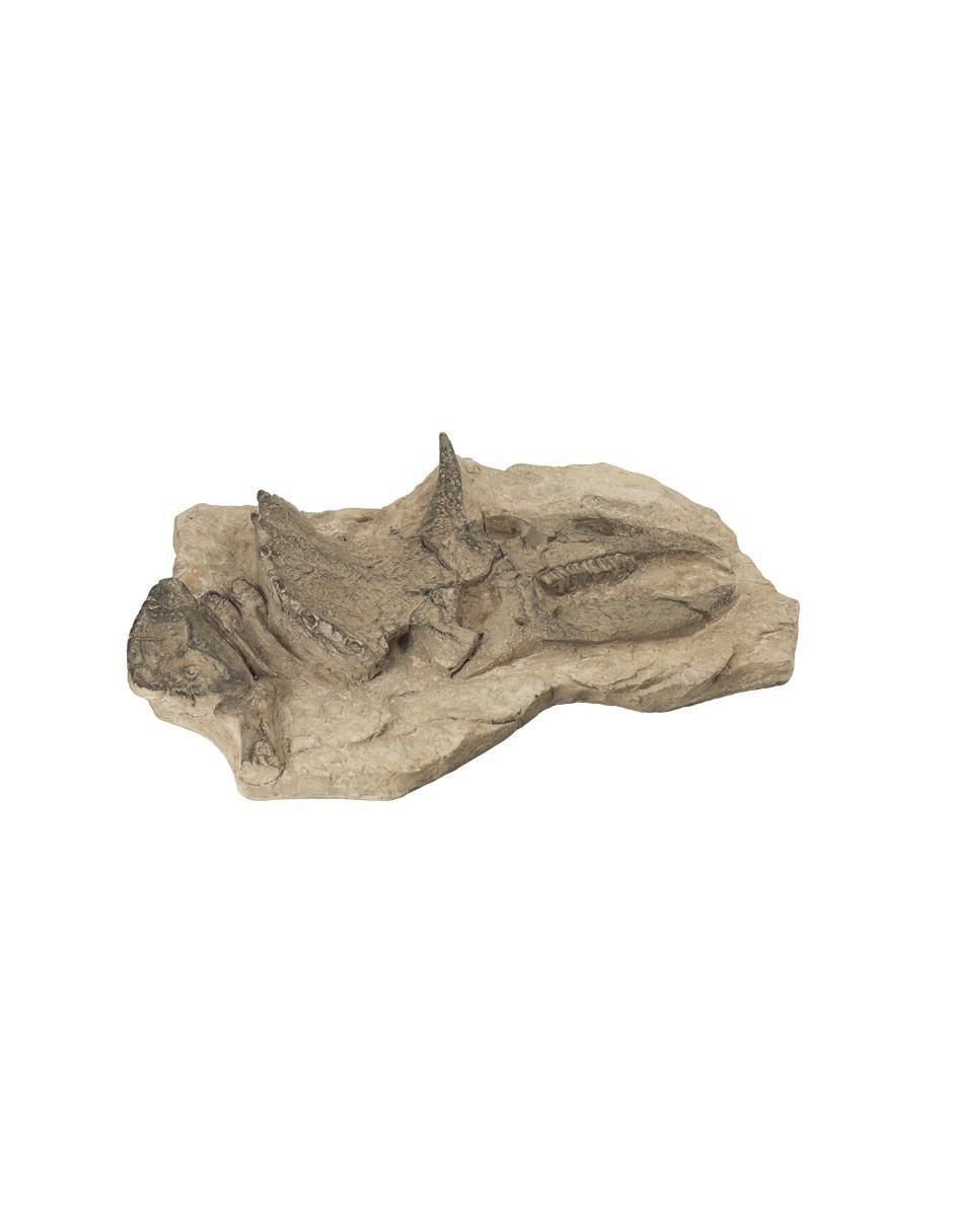 Escultura 3