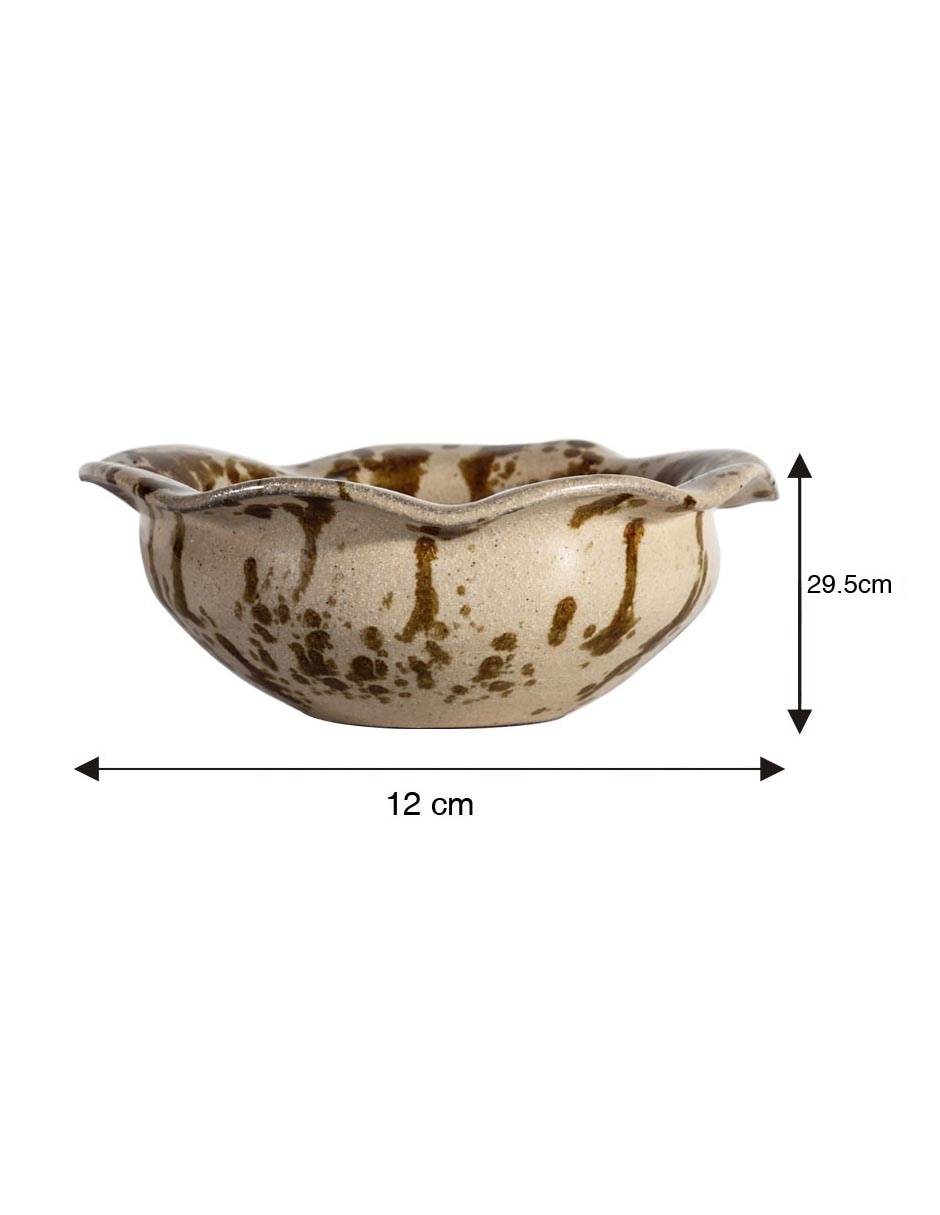 Bowl Rustic de terracota 7