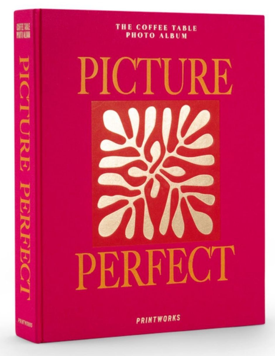 Álbum fotográfico Picture Perfect