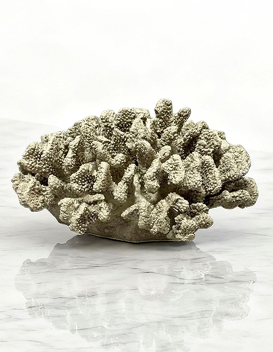 Figura de coral 3