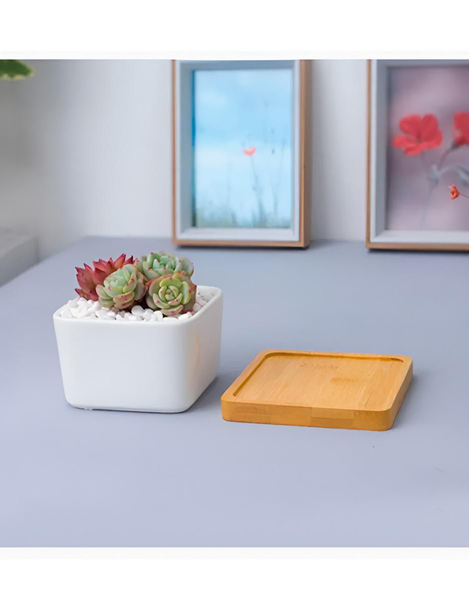 Maceta con base de cerámica 2