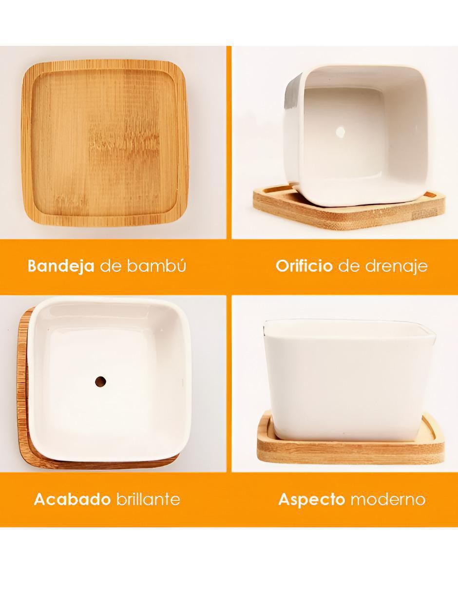 Maceta con base de cerámica 3