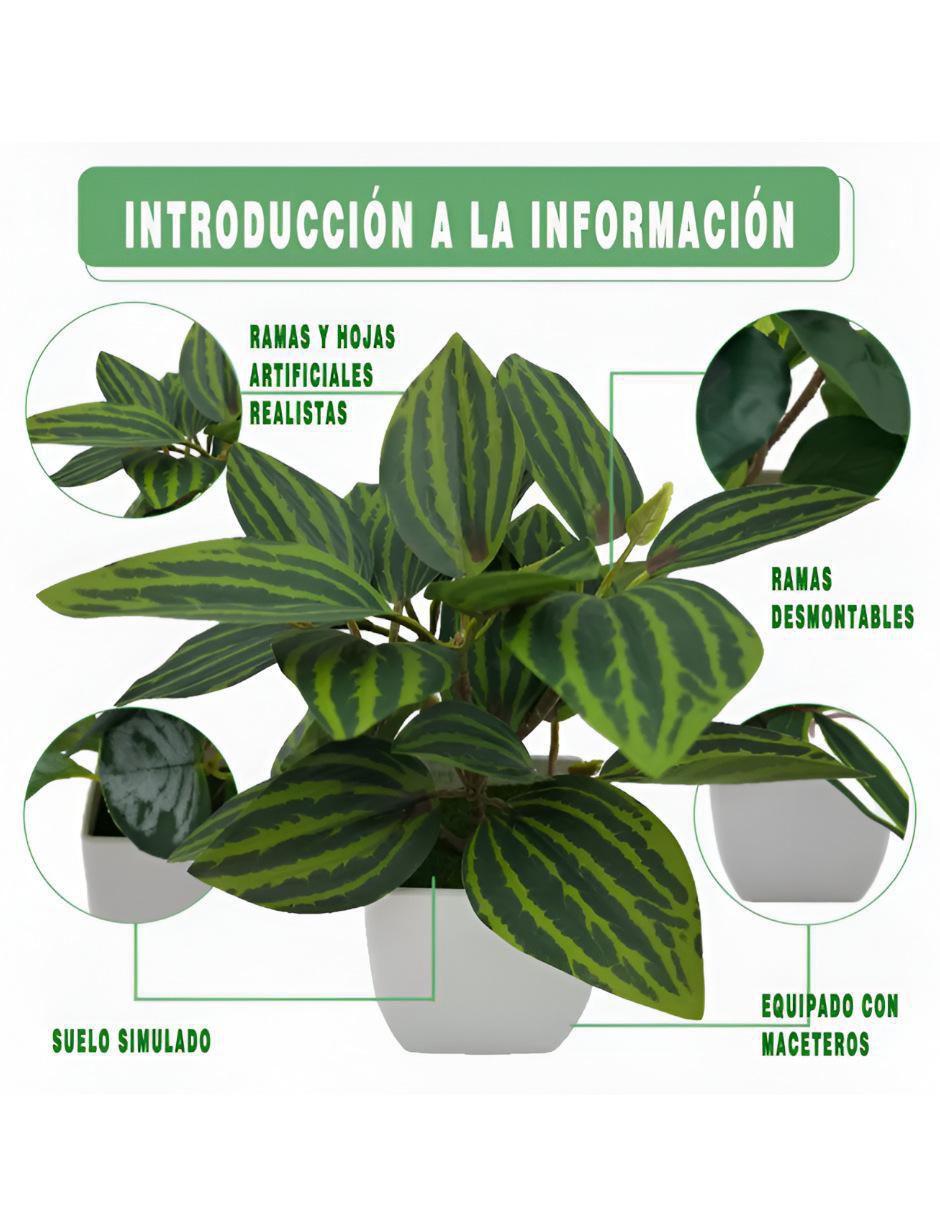 Set maceta de plástico 2