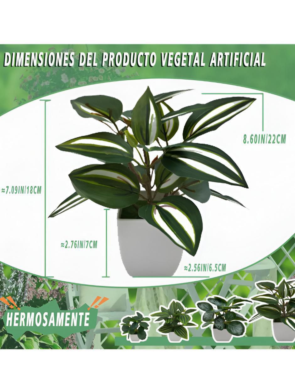 Set maceta de plástico 5