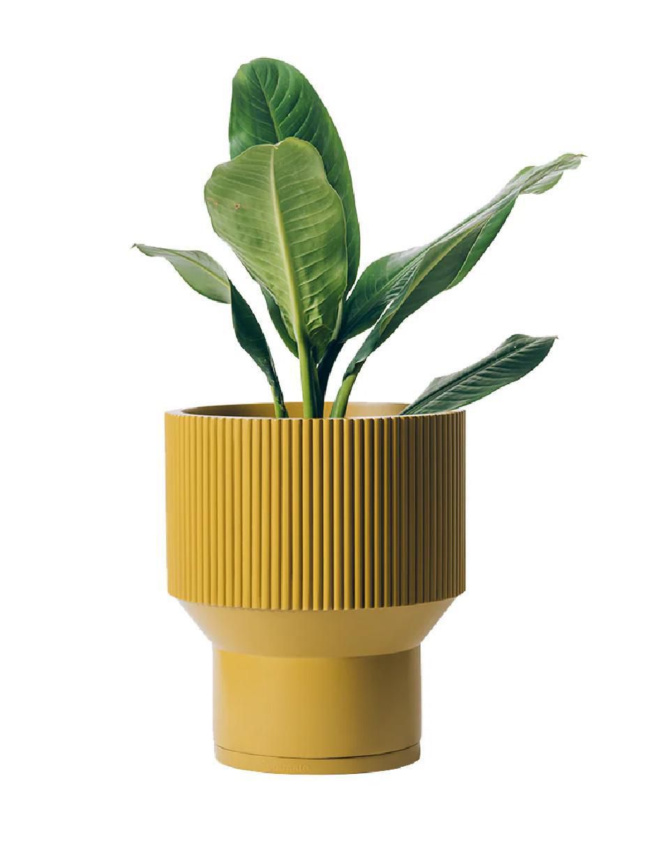 Maceta rootmate sin coleccion "de" fibra de vidrio "con" no