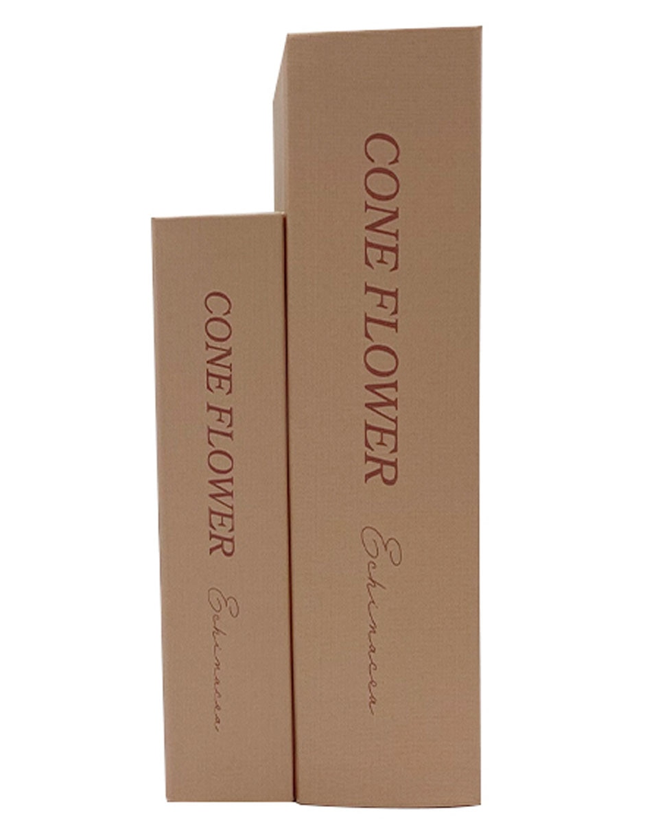 Caja decorativa Oasis Floral rectangular con 2 piezas 3